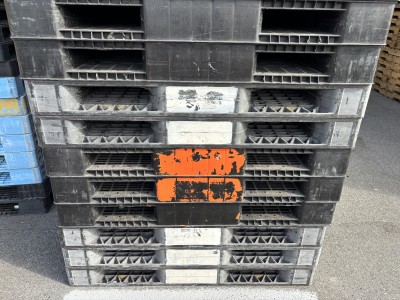 1E956003-06D9-438C-8518-C563FA4714D9